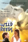 The Wild Reeds